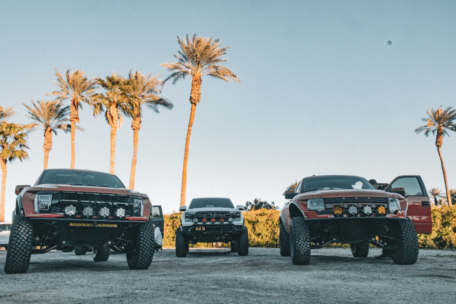 Three at Dusk