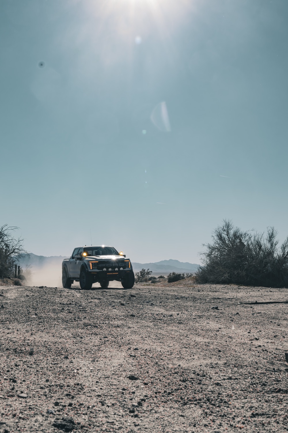 Alone in the Desert