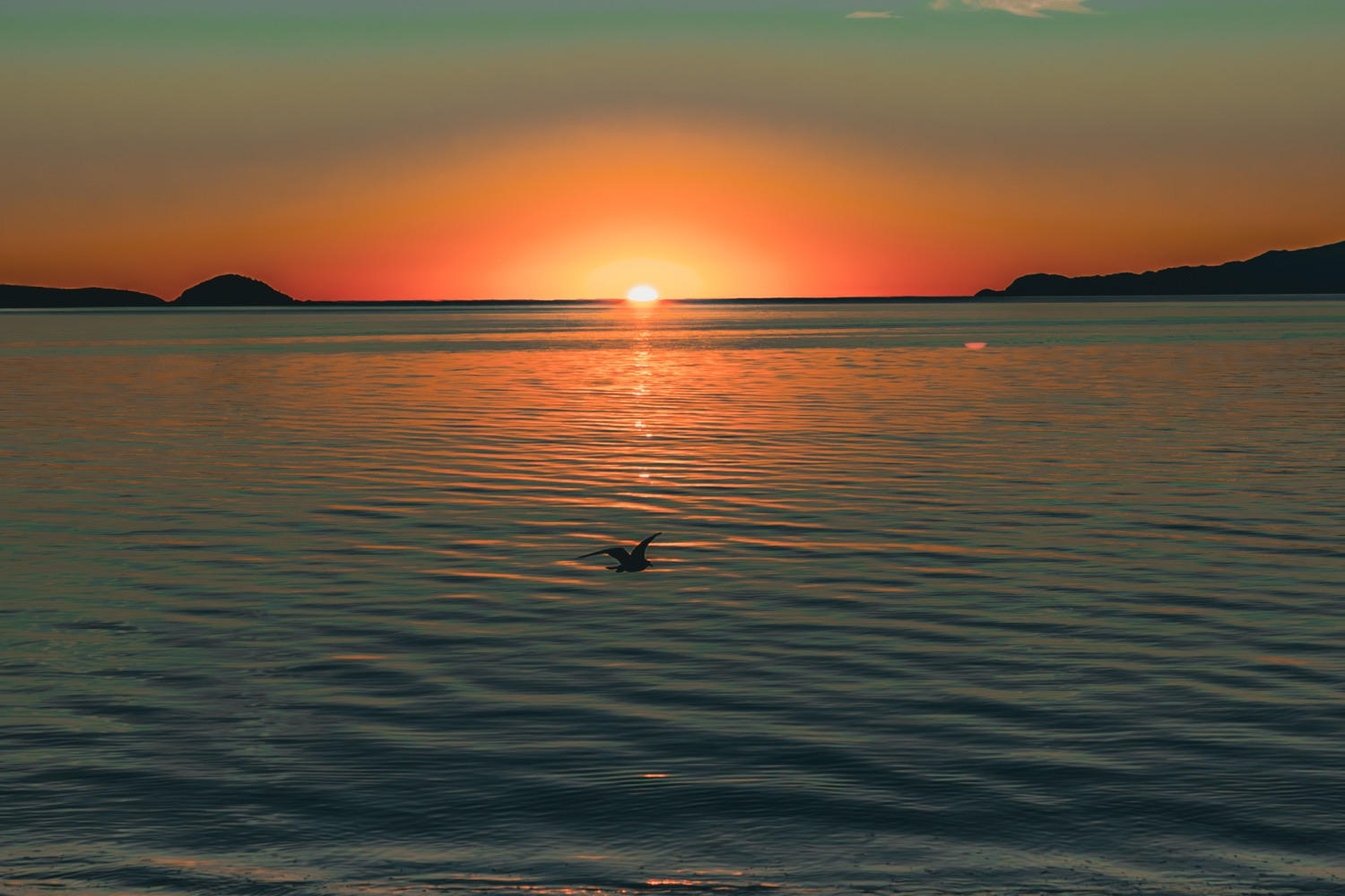 Last Sun